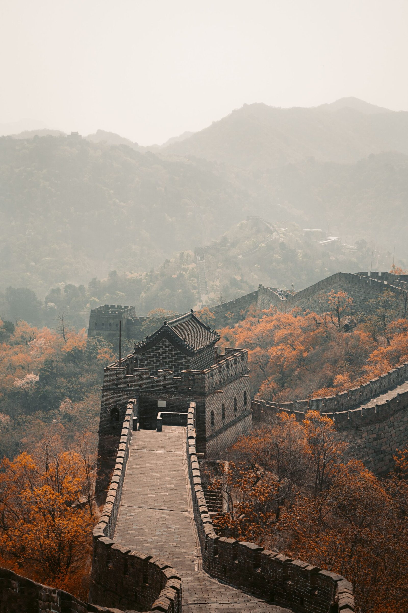 chine
