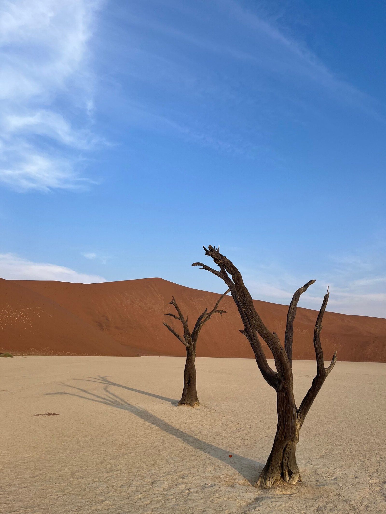 namibie