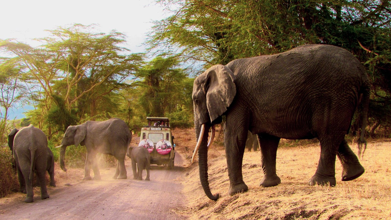 tanzanie