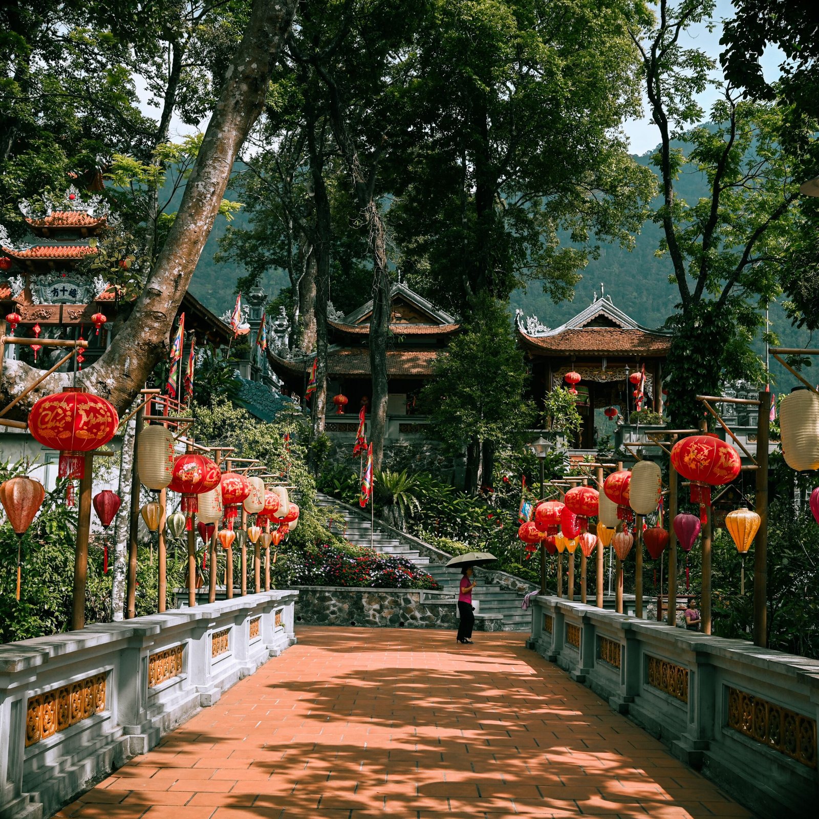 viet nam
